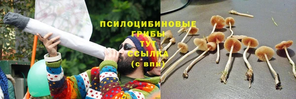соль курить ск Карталы