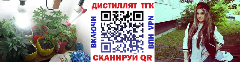 Купить  Губаха  Дистиллят ТГК гашишное масло 